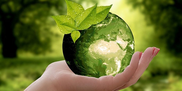 ISO 14001 - Системы Экологического Менеджмента
